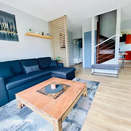 Charmant Duplex En Centre-Ville Torcy  Exterior photo